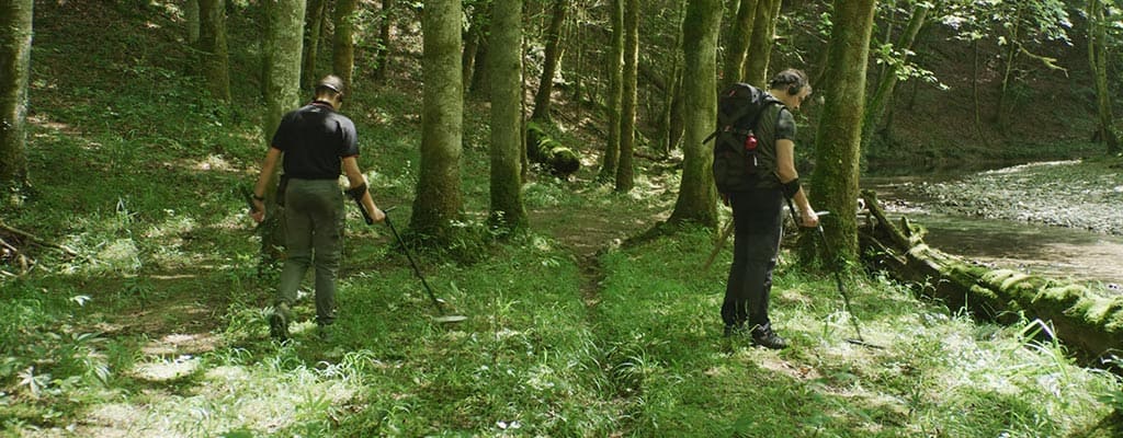 Détection en forêt