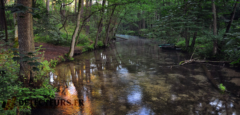 cours d'eau détection en forêt